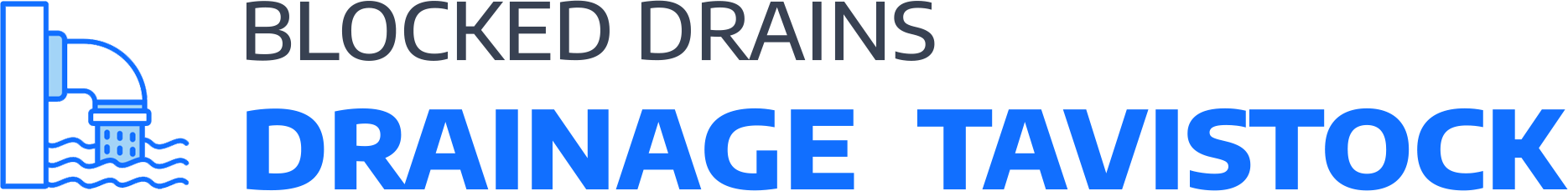 website logo